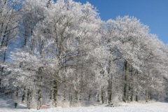 IMG-048